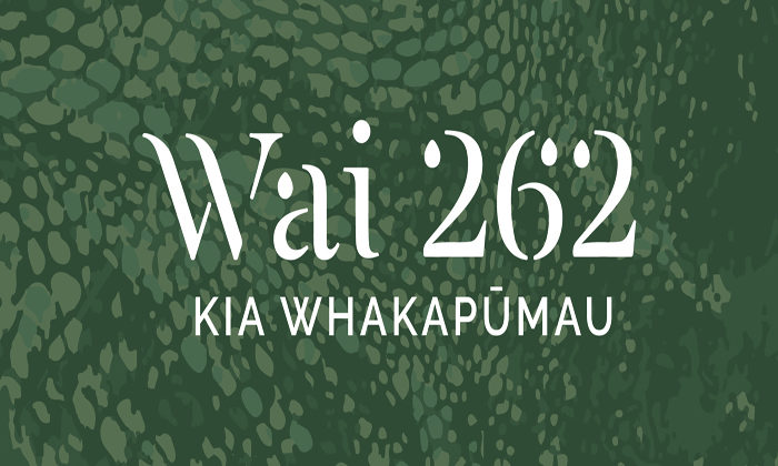 Unwieldy WAI 262 claim needs new structure for progress