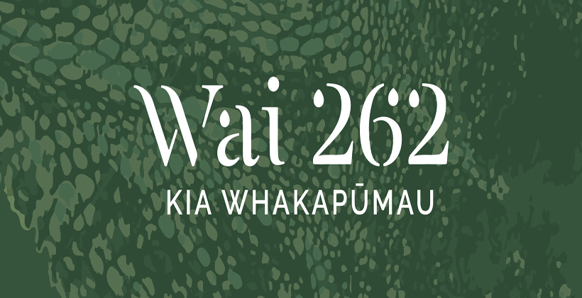Unwieldy WAI 262 claim needs new structure for progress