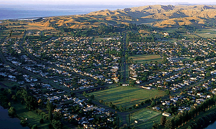 Trees and roads for Wairoa revival