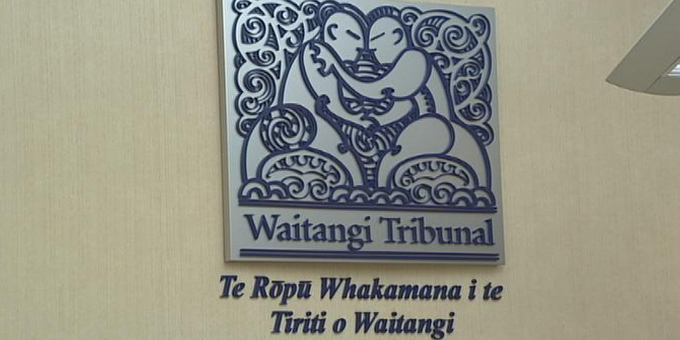 Tribunal rebuked for being timid