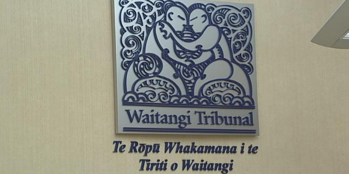 Continuity picks for Waitangi Tribunal