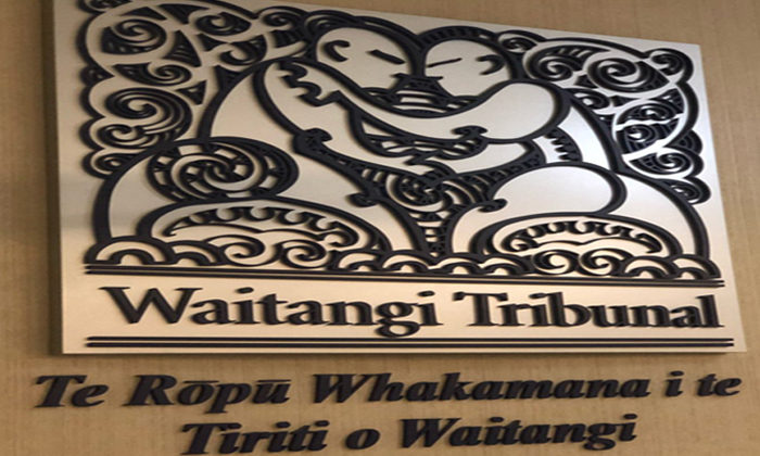 Prison vote ban attack on Māori rights