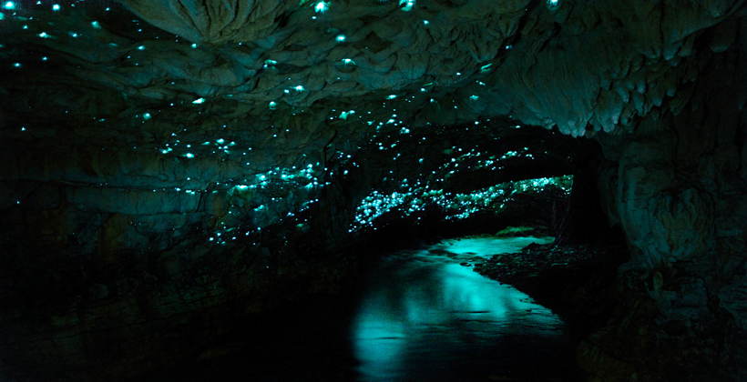 Light in the tunnel for glowworm caves
