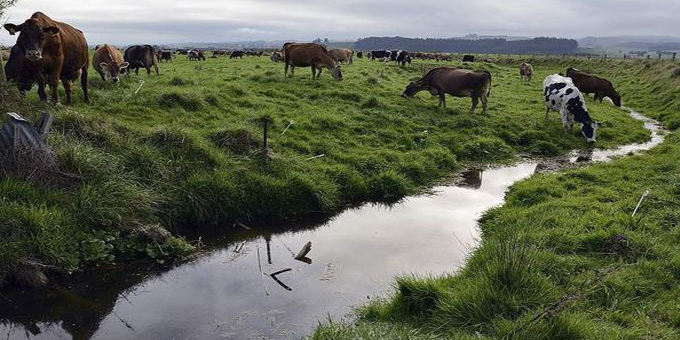 Maori need to have a key role in water management