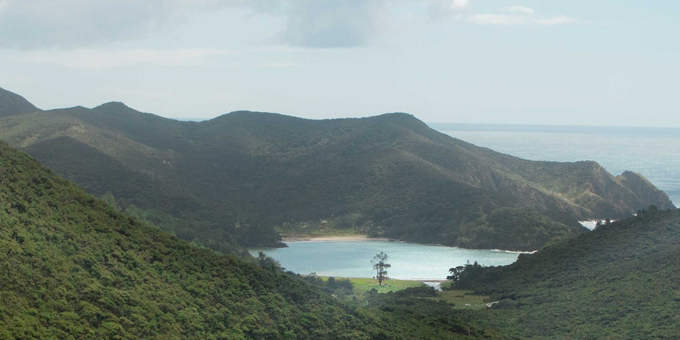 Unfinished business in Whangaroa settlement