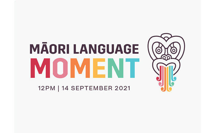 Māori language moment past 1 million mark