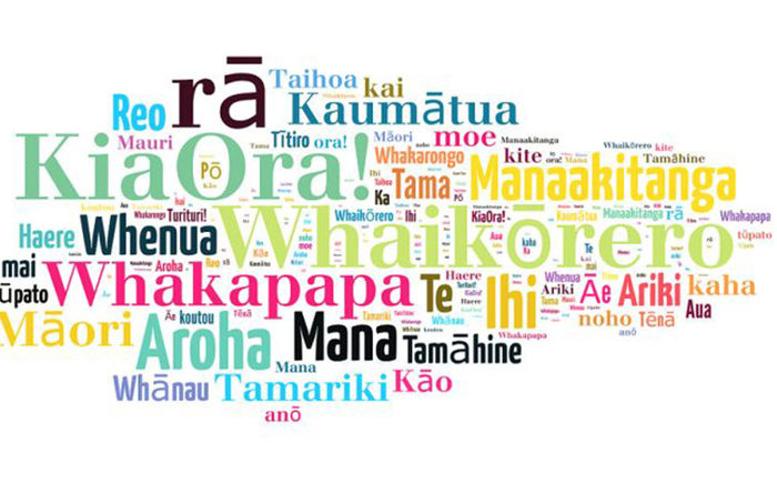 New tool will assess Māori language progress