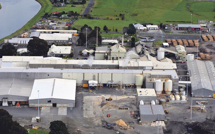 Workforce merges as Whakatāne Mill full steam ahead