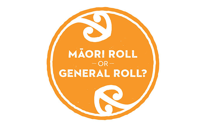 Māori Party keen on electoral reform