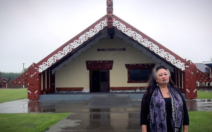Brilliant contribution and regrettable outcome Te Pāti Kākāriki Co-Leader Marama Davidson