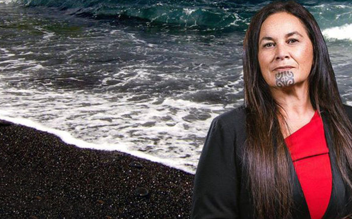 Debbie Ngarewa- Packer | Co-Leader of The NZ Māori Party