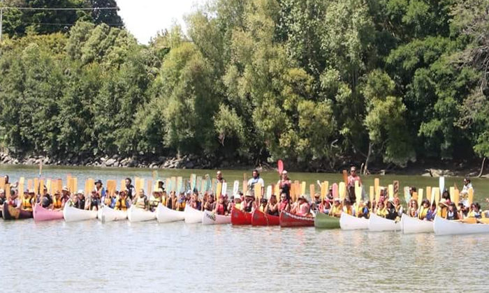 Whanganui Tira Hoe event cancelled for 2022