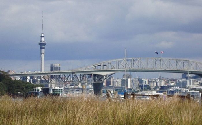 Rates relief for unused Māori land in supercity