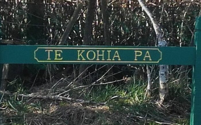 Two whakapapa remembered in Taranaki Wars commemoration