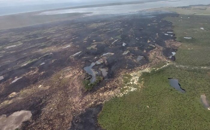 Awarua fire devastating to climate change