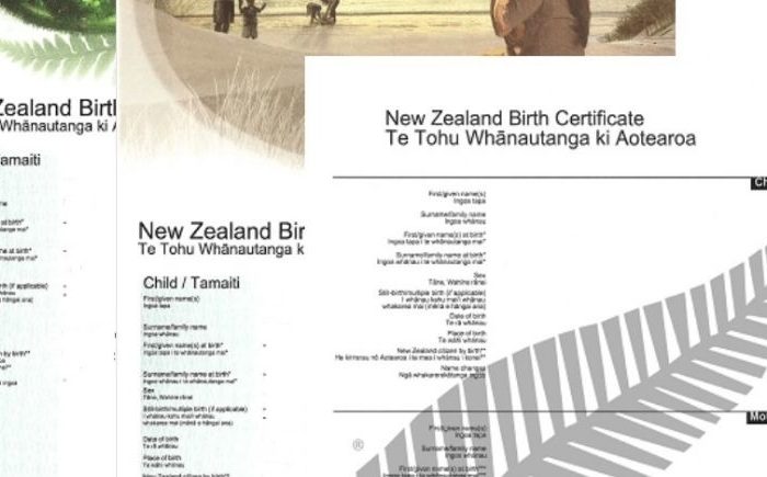 Birth register could add iwi data