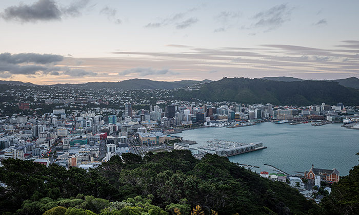 Ten-year Māori strategy for Wellington Council