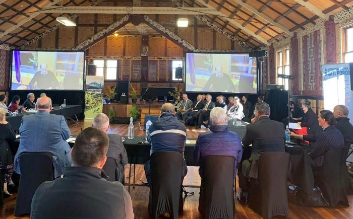 Iwi leaders push resource co-governance