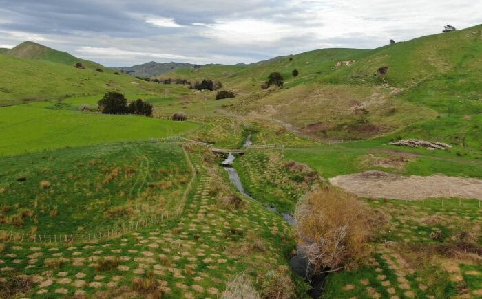 Field days reveal Māori farming resiliance