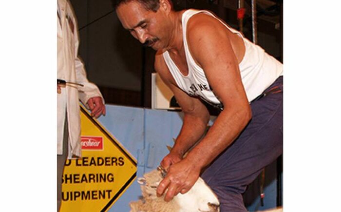 Aboriginal team for shearing sports