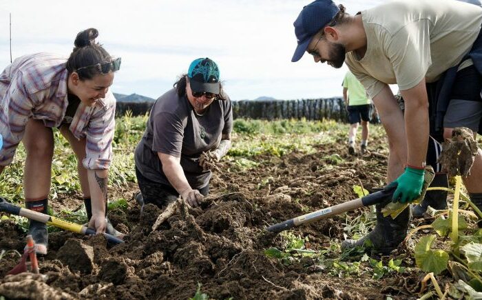 Productive land saved for food  good for Māori growers