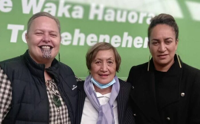 Launch of Te Waka Hauroa O Te Nehehenui.