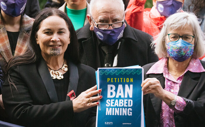 Labour Government votes no to Seabed Mining Bill.