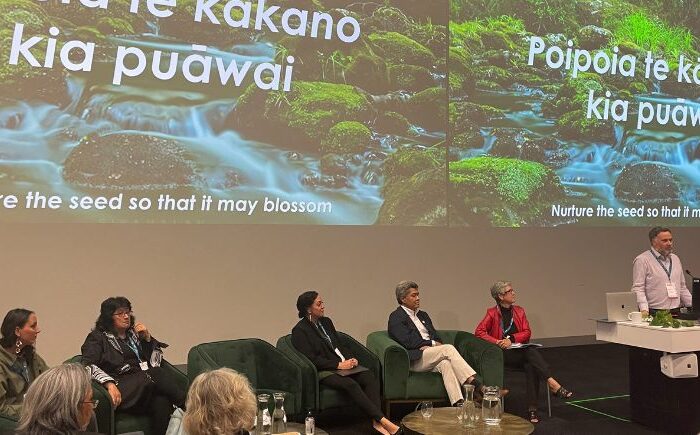 Māori academics compare notes on constitution change