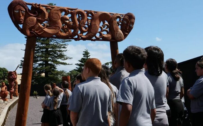 Education Ministry demands Te Kāpehu Whetū merger
