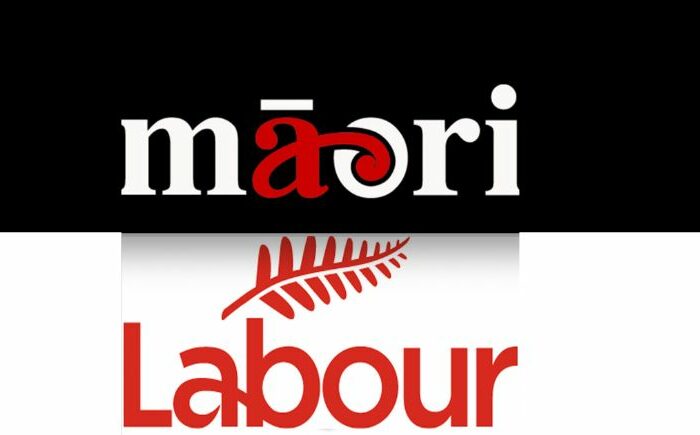 Labour and Te Pāti need to work together this election