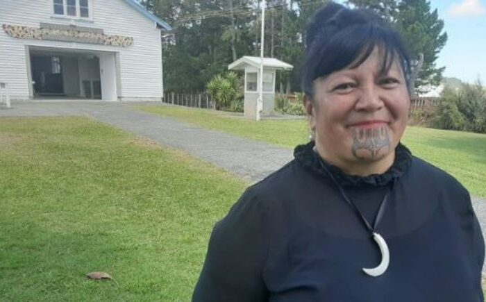 Ka tū a Kapa-Kingi mō te Pāti Māori