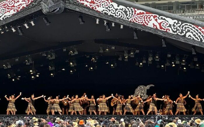 Māori Party cries poor over arts funding