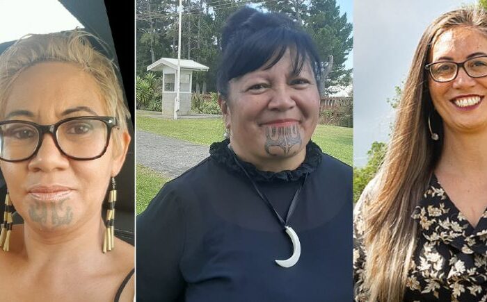 Candidates put up hands for Maori seats