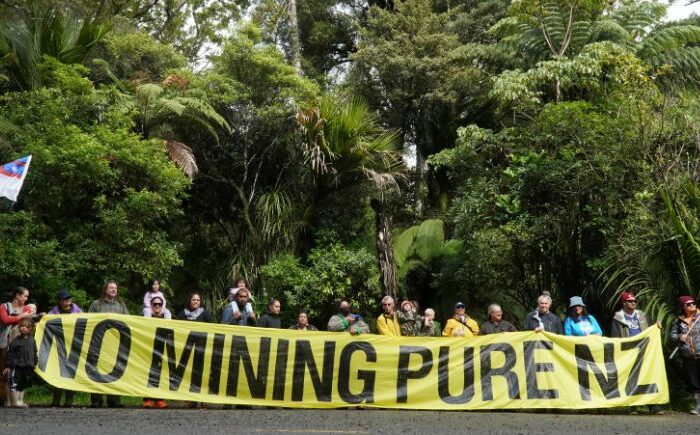 Forest & Bird joins Whangaroa hapū in condemning mining threat