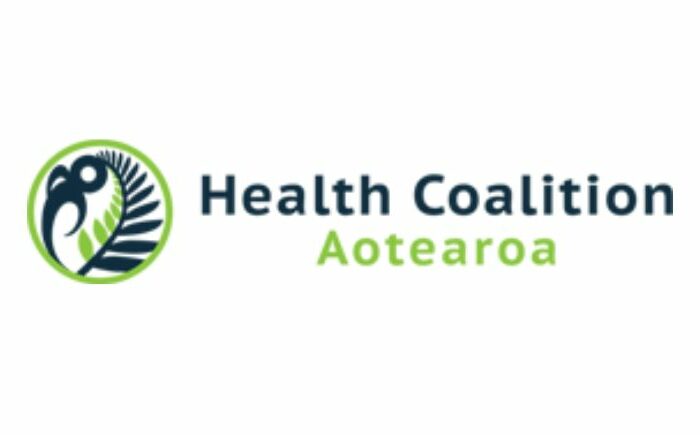 Dr. Lisa Te Morenga | Health Coalition Aotearoa Co-Chair