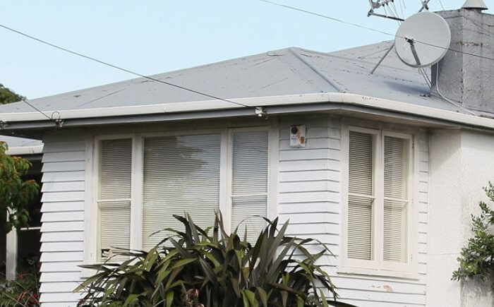 Home loss blight in growing up survey