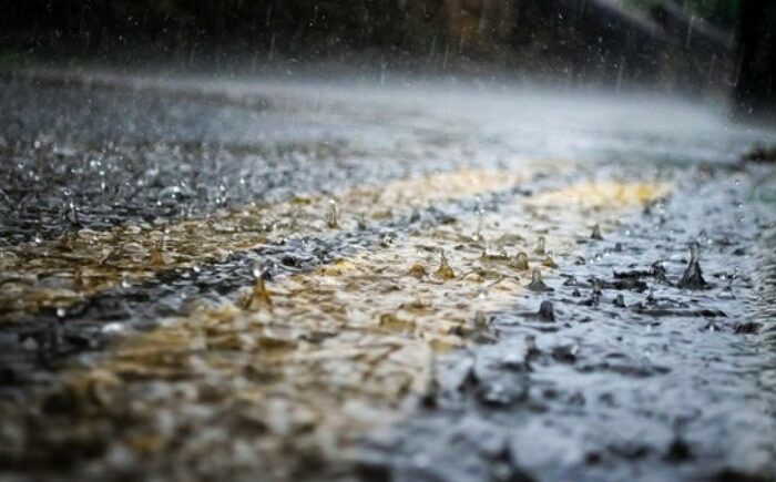 Media Release: Wet weather wrap – what to expect today