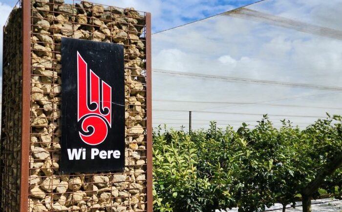 Diversification pays off for Wi Pere