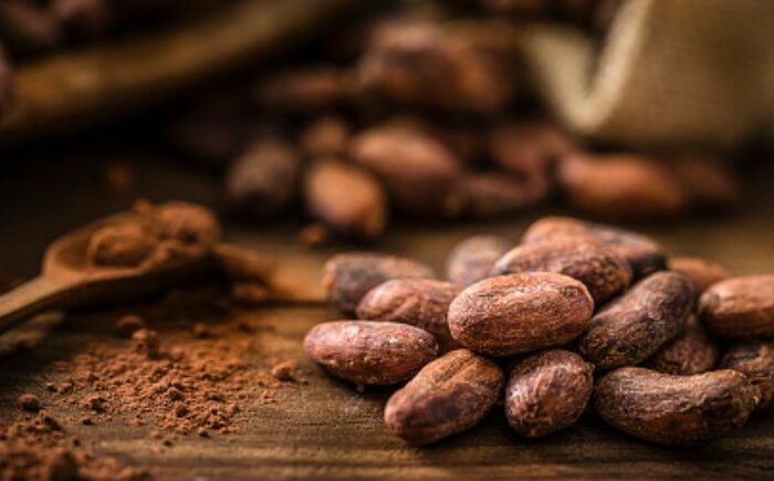 Cacao rongoā for Otepoti entrepreneur