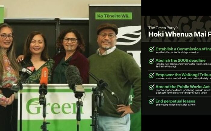 Hoki Whenua Mai strategy good for environment says Greens