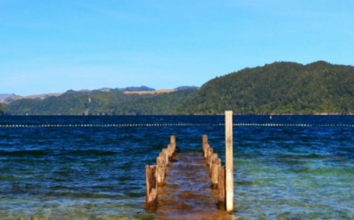 Media release: Ngāti Tarāwhai supports the protection plan to safely reopen Lake Ōkataina