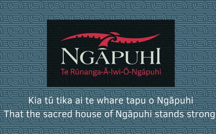 Ngapuhi facing cuts as income falls