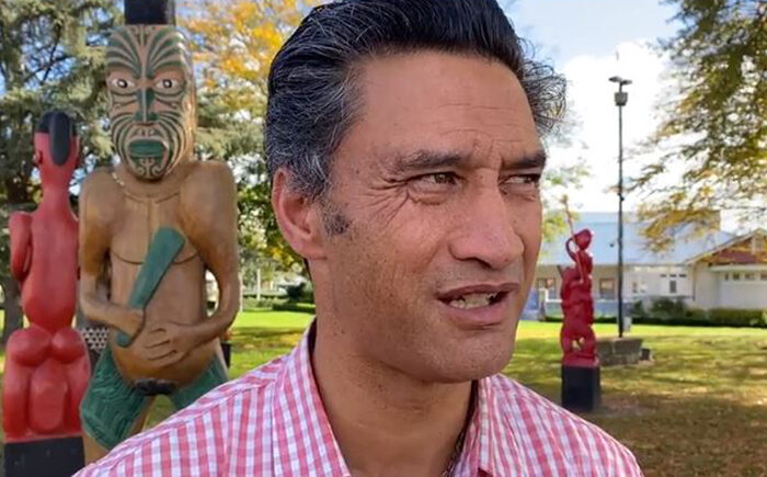 No appetite among iwi for treaty referendum