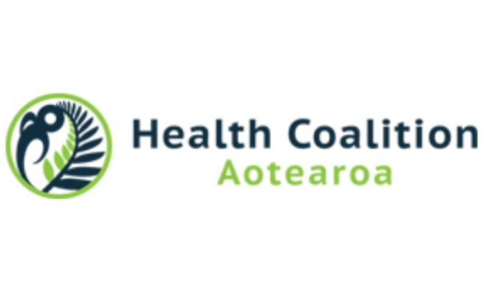 Dr Lisa Te Morenga | Co-Chair of Health Coalition Aotearoa