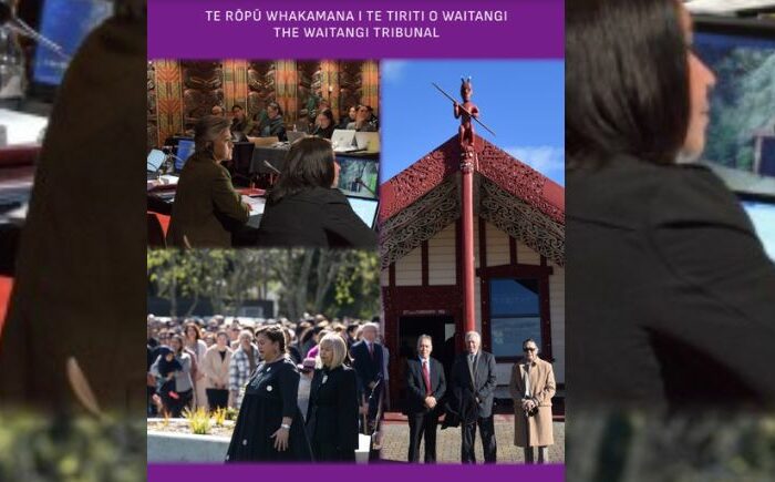 Government to proceed with review of Waitangi Tribunal