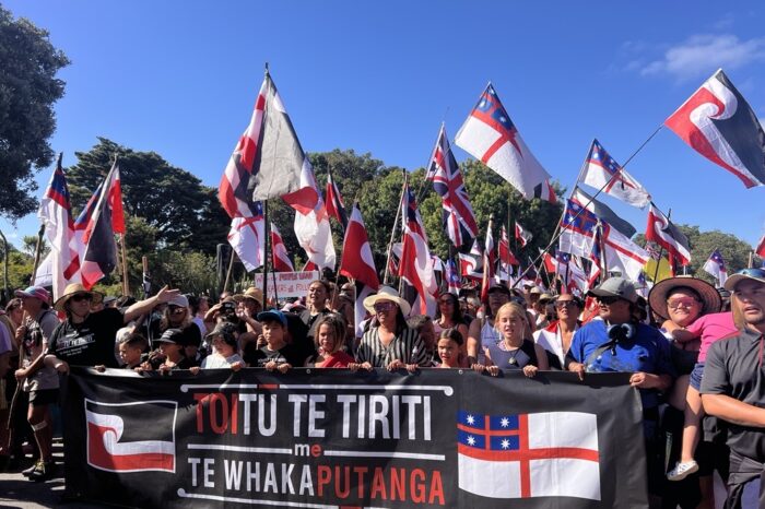 Mina Pomare Peita | Whai atu i ngā rautaki a ngā tohunga porotēhi o Te Ao Māori