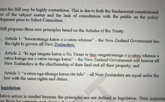 The Treaty Principles Referendum Bill is a Right Wing Trojan Horse 
