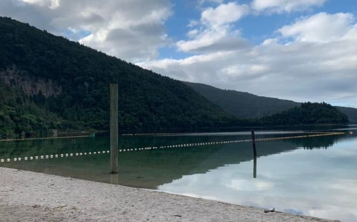 Rangitihi Pene | Te Arawa Lakes Trust Chair