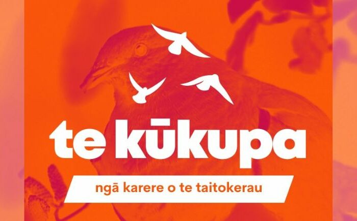 Regional news for Te Taitokerau