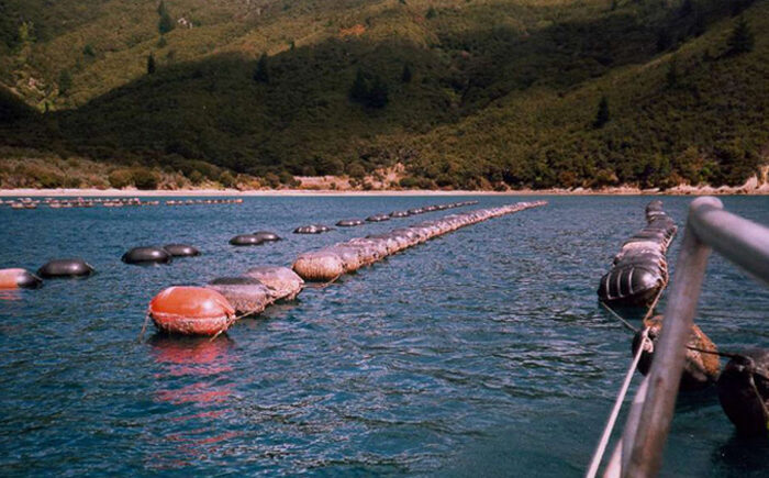 Red tape cuts good for Māori aquaculture